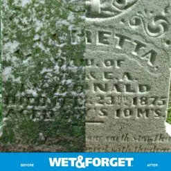 Wet and Forget Outdoor Cleaners 64-oz Multi-Surface Outdoor Cleaner -Cleaning Supplies Shop 08539294