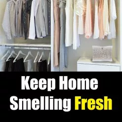 Gonzo Natural Magic Air Fresheners Odor Eliminator Odor Eliminators Air Freshener -Cleaning Supplies Shop 10037749