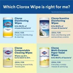 Clorox All-Purpose Cleaners 3-Pack 225-Count Crisp Lemon and Fresh Scent Disinfectant Wipes All-Purpose Cleaner -Cleaning Supplies Shop 10608666