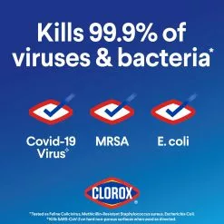 Clorox Germicidal Bleach, Regular- 81-oz Bottle 19 Clorox Germicidal Bleach, Regular- 81-oz Bottle -Cleaning Supplies Shop 14545319
