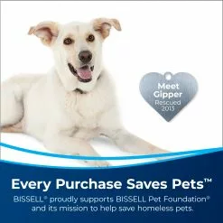 BISSELL Steam Cleaner Chemicals 48-fl oz Steam Cleaner Chemical 11 BISSELL Steam Cleaner Chemicals 48-fl oz Steam Cleaner Chemical -Cleaning Supplies Shop 42008647