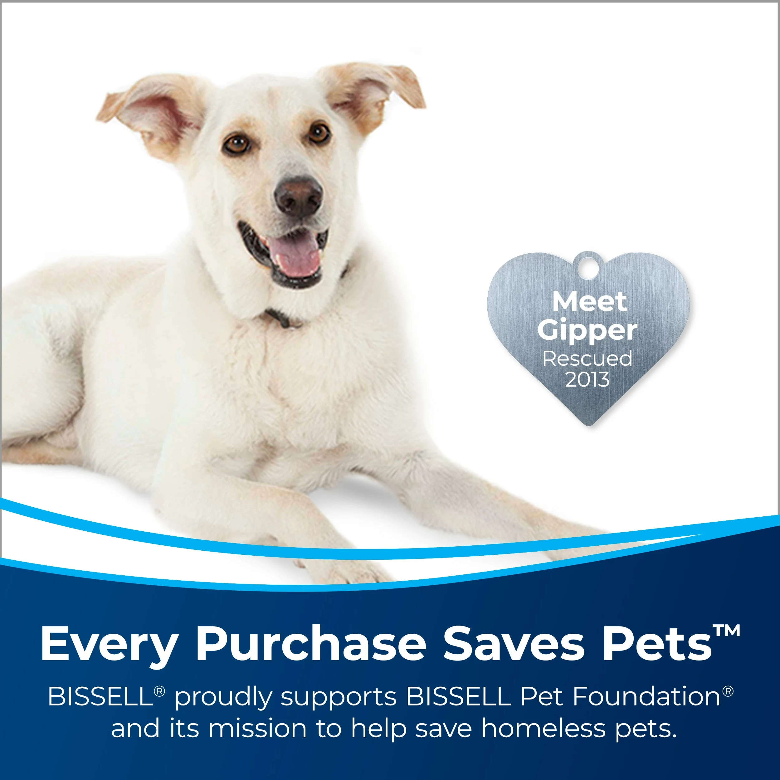 BISSELL Steam Cleaner Chemicals 48-fl oz Steam Cleaner Chemical 5 BISSELL Steam Cleaner Chemicals 48-fl oz Steam Cleaner Chemical - Image 3