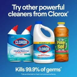 Clorox Fabric Deodorizers 80-fl oz Fabric Deodorizer 21 Clorox Fabric Deodorizers 80-fl oz Fabric Deodorizer -Cleaning Supplies Shop 43180336
