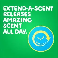 Gain Laundry Scent Booster Fireworks In-Wash Beads Original Scent Booster 20.1-oz -Cleaning Supplies Shop 44236136