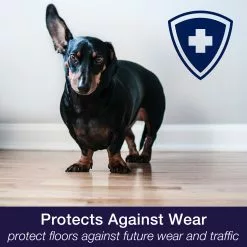 Bona 32-fl oz Floor Polish -Cleaning Supplies Shop 44400540