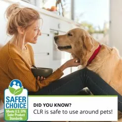 CLR Rust Removers 128-oz Rust Remover -Cleaning Supplies Shop 45501273