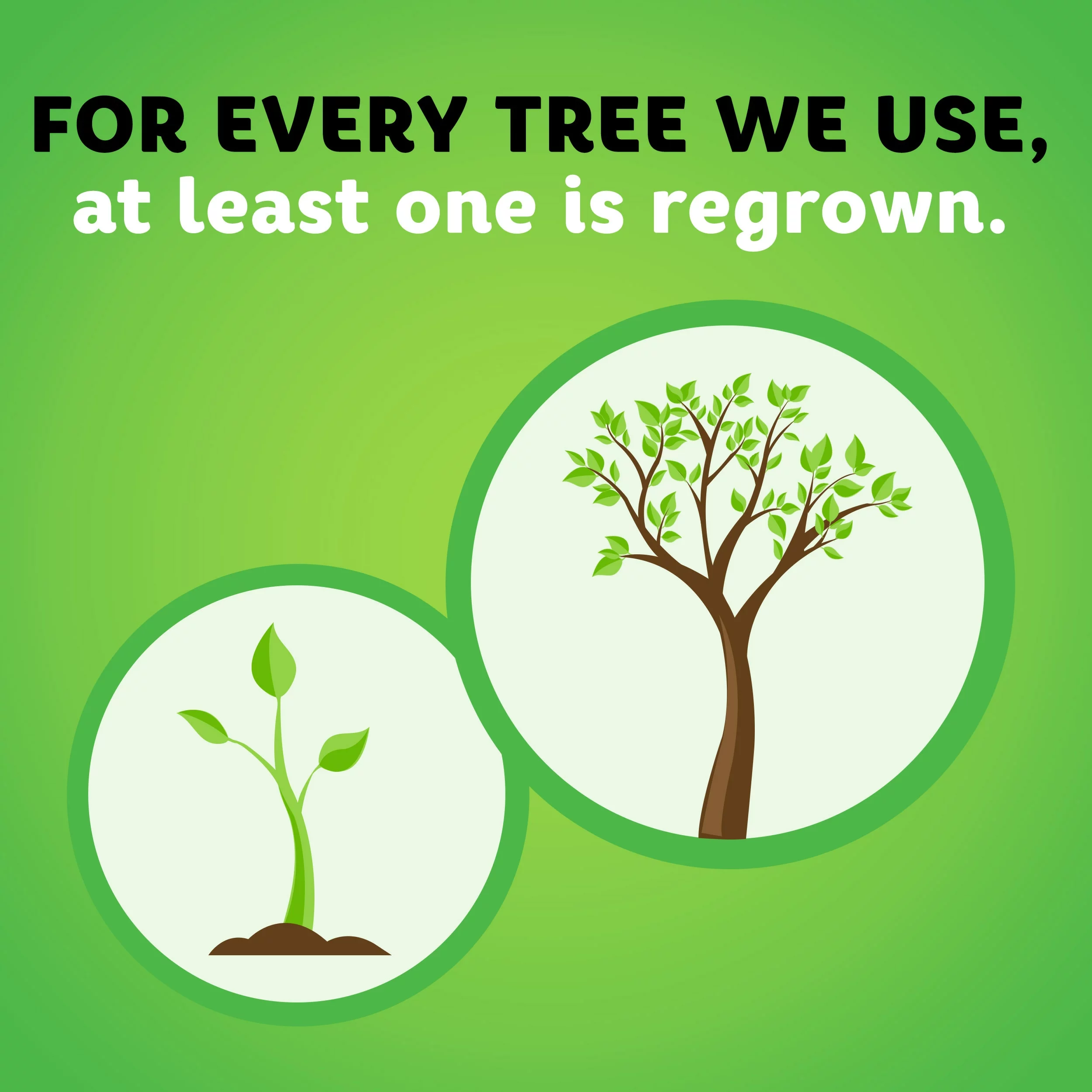 Bounty Select-a-Size Triple-Roll 8-Count Paper Towels 11 Bounty Select-a-Size Triple-Roll 8-Count Paper Towels - Image 9