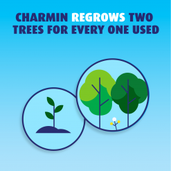 Charmin Ultra Soft Super Mega 8-Pack Toilet Paper 25 Charmin Ultra Soft Super Mega 8-Pack Toilet Paper -Cleaning Supplies Shop 45597077