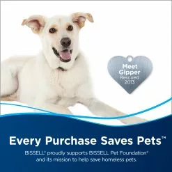 BISSELL Steam Cleaner Chemicals 48-fl oz Concentrated Steam Cleaner Chemical 11 BISSELL Steam Cleaner Chemicals 48-fl oz Concentrated Steam Cleaner Chemical -Cleaning Supplies Shop 45602418