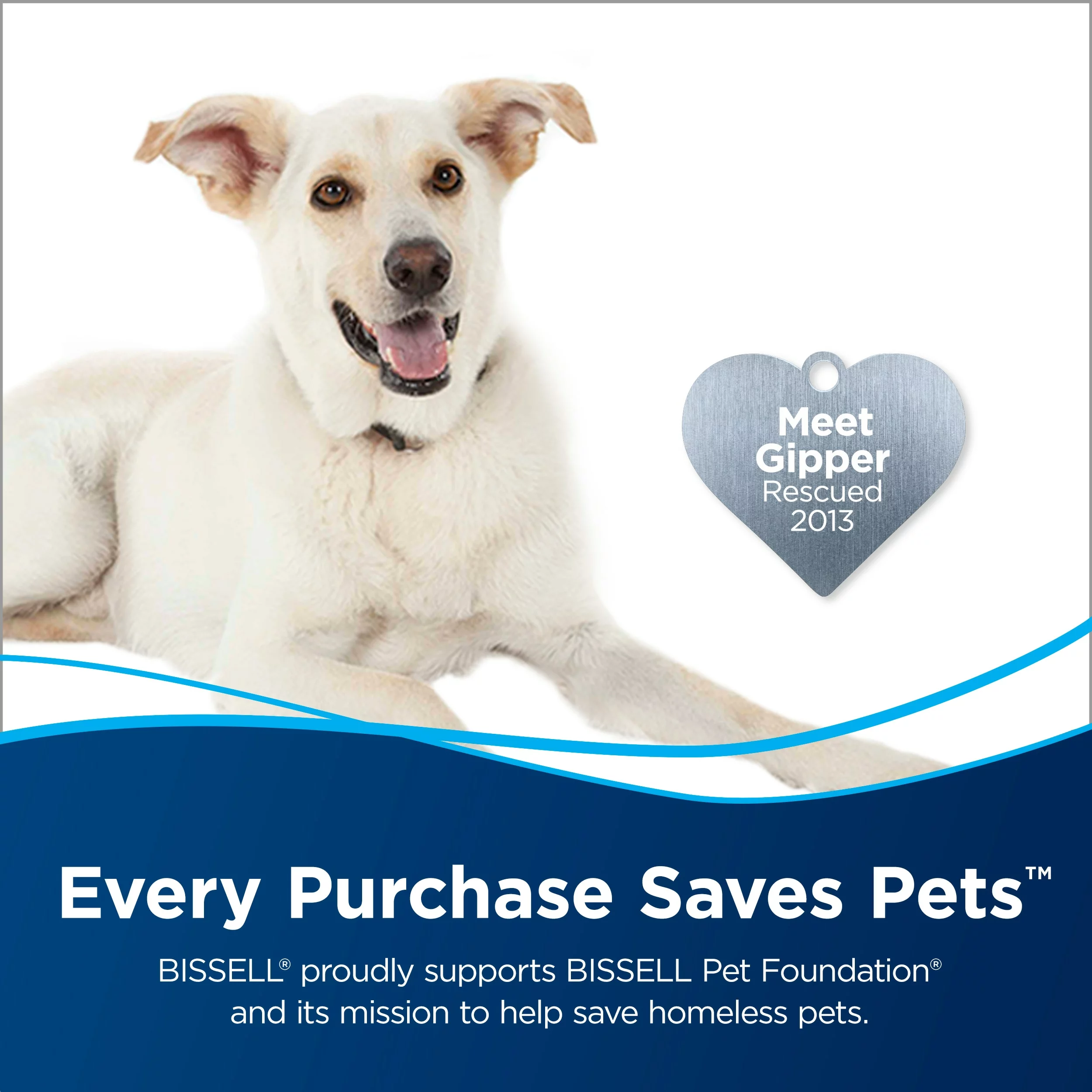 BISSELL Steam Cleaner Chemicals 48-fl oz Concentrated Steam Cleaner Chemical 5 BISSELL Steam Cleaner Chemicals 48-fl oz Concentrated Steam Cleaner Chemical - Image 3