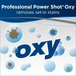 BISSELL Carpet Cleaning Solution Professional Power Shot Oxy Spot Remover Spray -Cleaning Supplies Shop 45676964